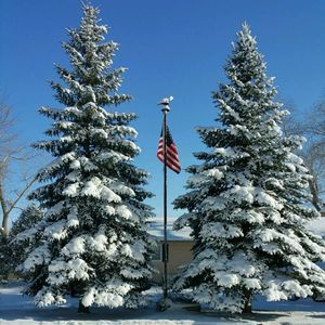 Meet your Posher, Terry
